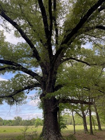325 County Road 2715, Mineola, TX 75773