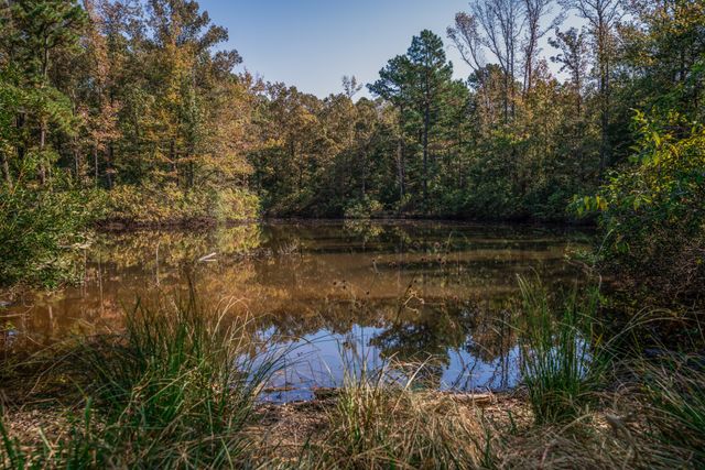 325 County Road 2715, Mineola, TX 75773