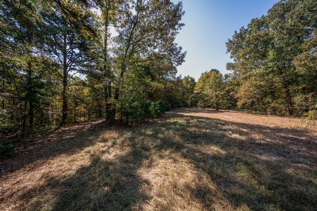 325 County Road 2715, Mineola, TX 75773