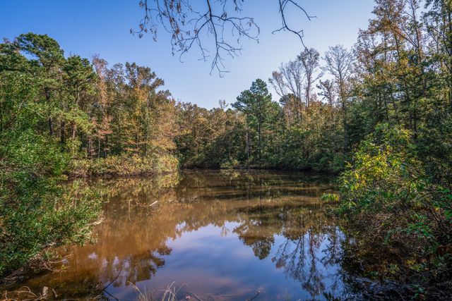 325 County Road 2715, Mineola, TX 75773