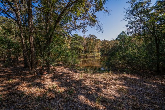 325 County Road 2715, Mineola, TX 75773