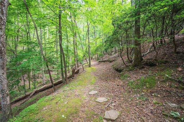 341 Valley View Road, Ellijay, GA 30536