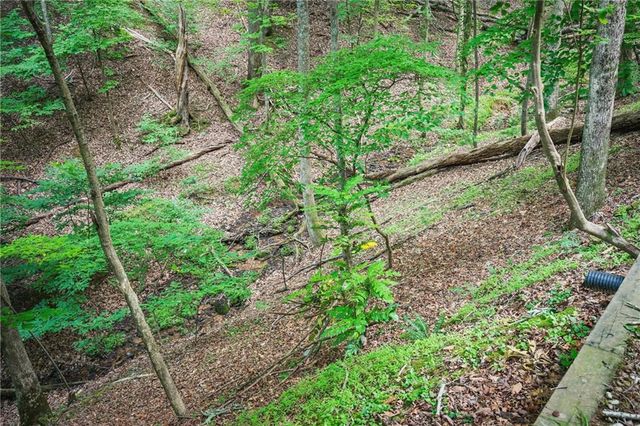 341 Valley View Road, Ellijay, GA 30536