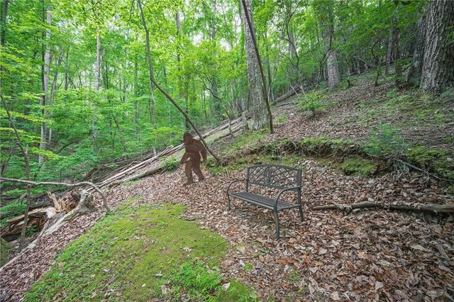 341 Valley View Road, Ellijay, GA 30536