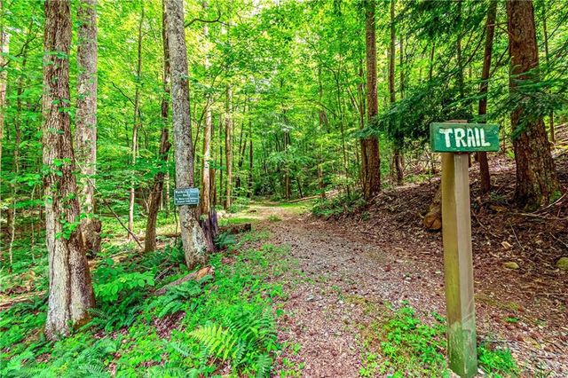 341 Valley View Road, Ellijay, GA 30536