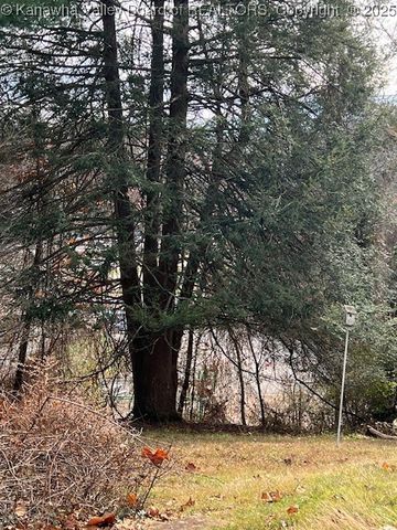 1130 Lyndale Drive, Charleston, WV 25314