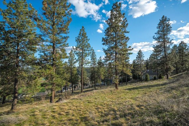 11615 S Elk Run Ln, Spokane, WA 99224