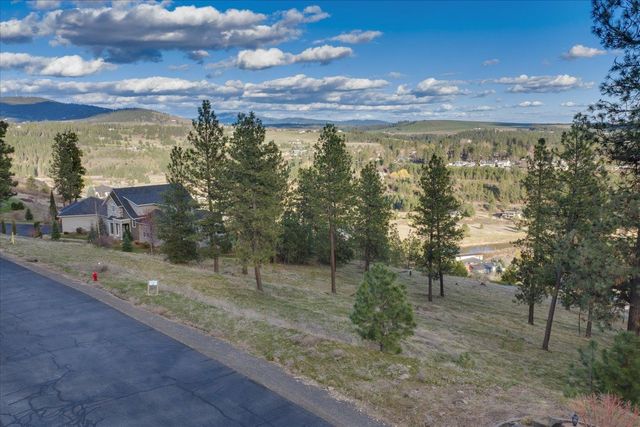 11615 S Elk Run Ln, Spokane, WA 99224
