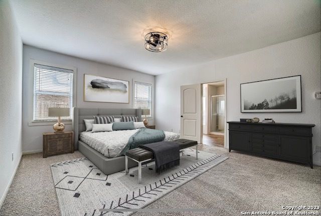 11918 LUCKEY VW, San Antonio, TX 78252