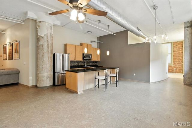 1627 Locust Street 202, St Louis, MO 63103