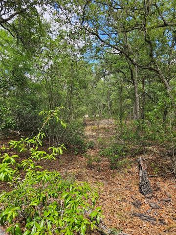 2950 W POMPANO LANE, Dunnellon, FL 34433