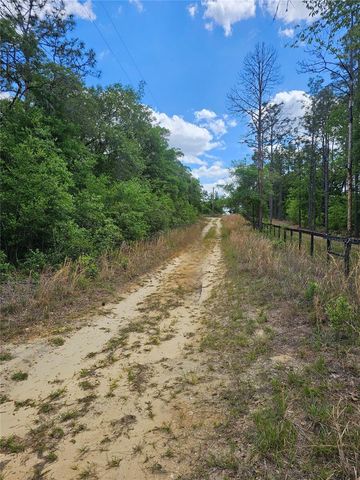 2950 W POMPANO LANE, Dunnellon, FL 34433