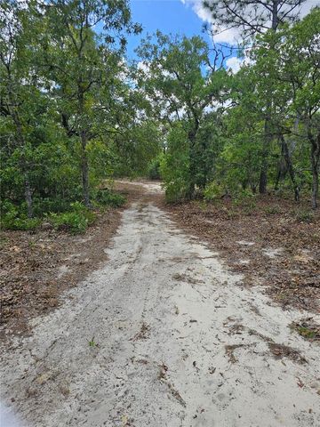 2950 W POMPANO LANE, Dunnellon, FL 34433