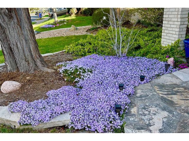 7237 W 83rd Way, Arvada, CO 80003