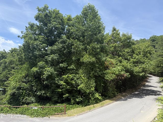 0 Autumn Ridge Way, Sevierville, TN 37876