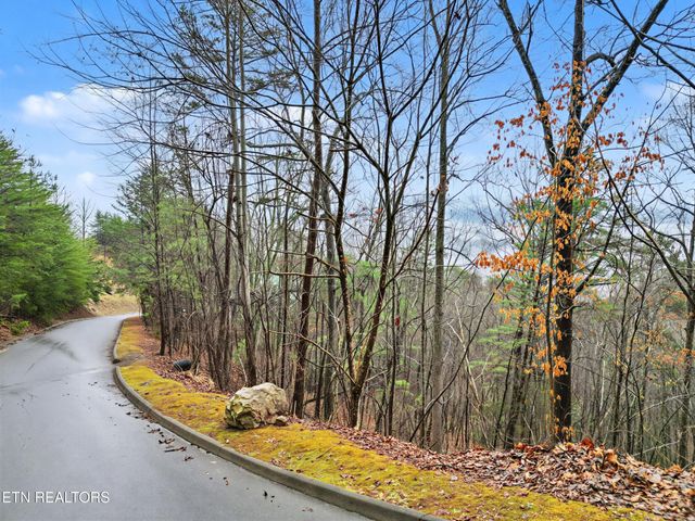 0 Autumn Ridge Way, Sevierville, TN 37876