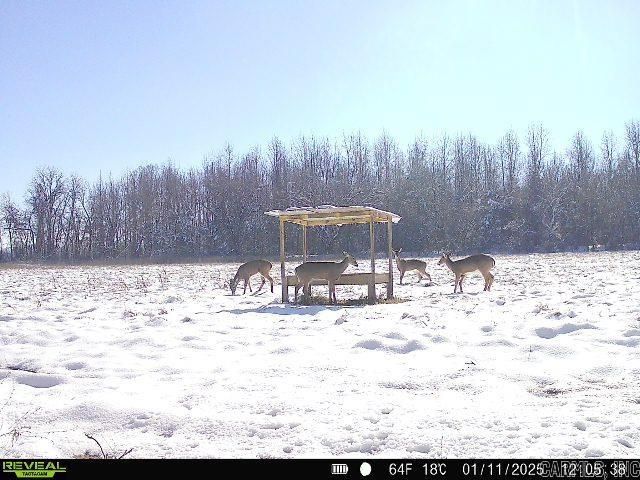 2572 Highway 163, Wynne, AR 72396