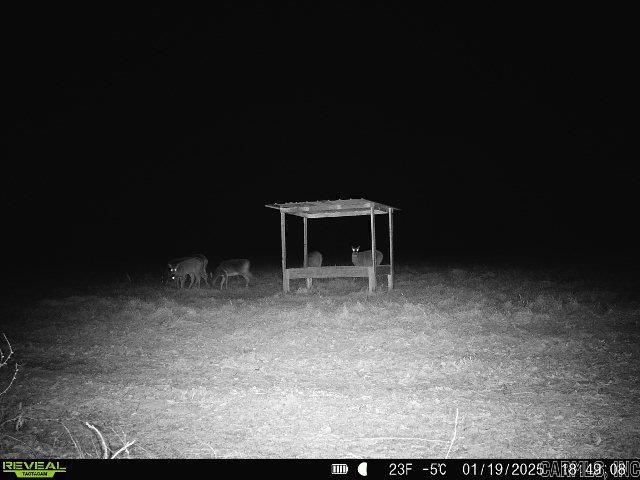 2572 Highway 163, Wynne, AR 72396