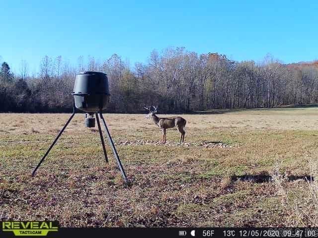 2572 Highway 163, Wynne, AR 72396