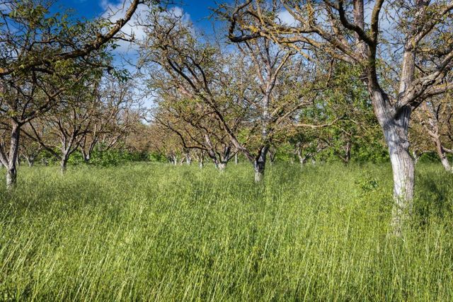 7954-7958 Lovers Lane, Hollister, CA 95023