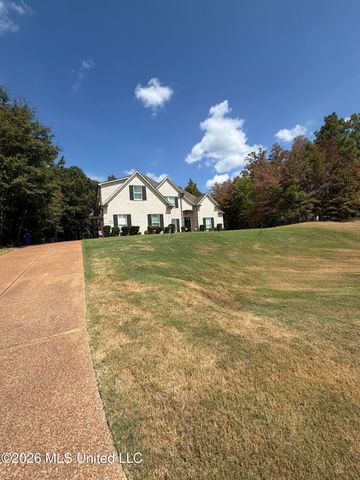 13976 Myers Plantation Road, Byhalia, MS 38611