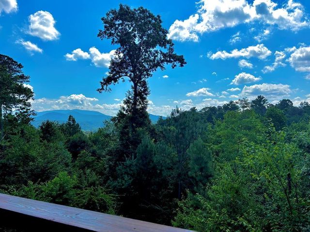 190 Summit View Lane, Ellijay, GA 30540