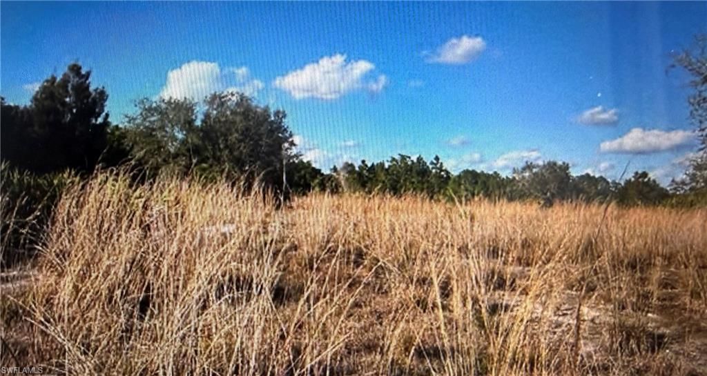56th AVE NE, NAPLES, FL 34120 — photo 2