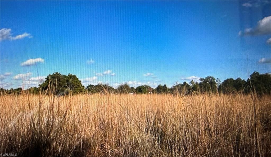 56th AVE NE, NAPLES, FL 34120 — photo 4