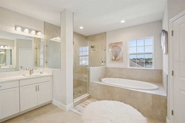 14930 RIDER PASS DRIVE, Lithia, FL 33547