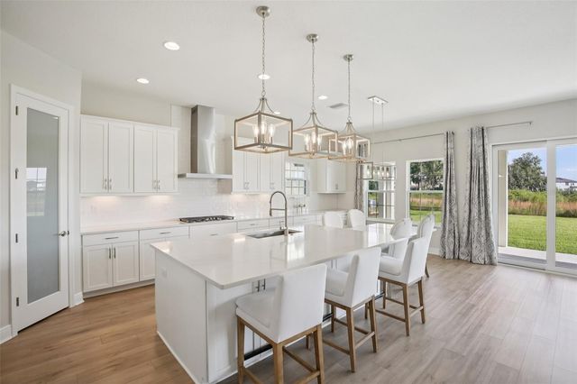 14930 RIDER PASS DRIVE, Lithia, FL 33547