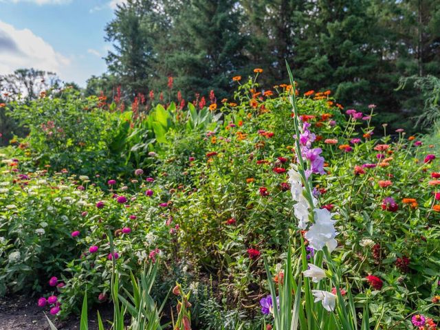 8835 County Road 43, Victoria, MN 55318