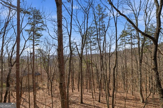 815 Shetland Trace, Big Canoe, GA 30143