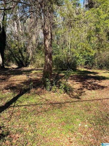 110 CARTER LANE, Columbiana, AL 35051