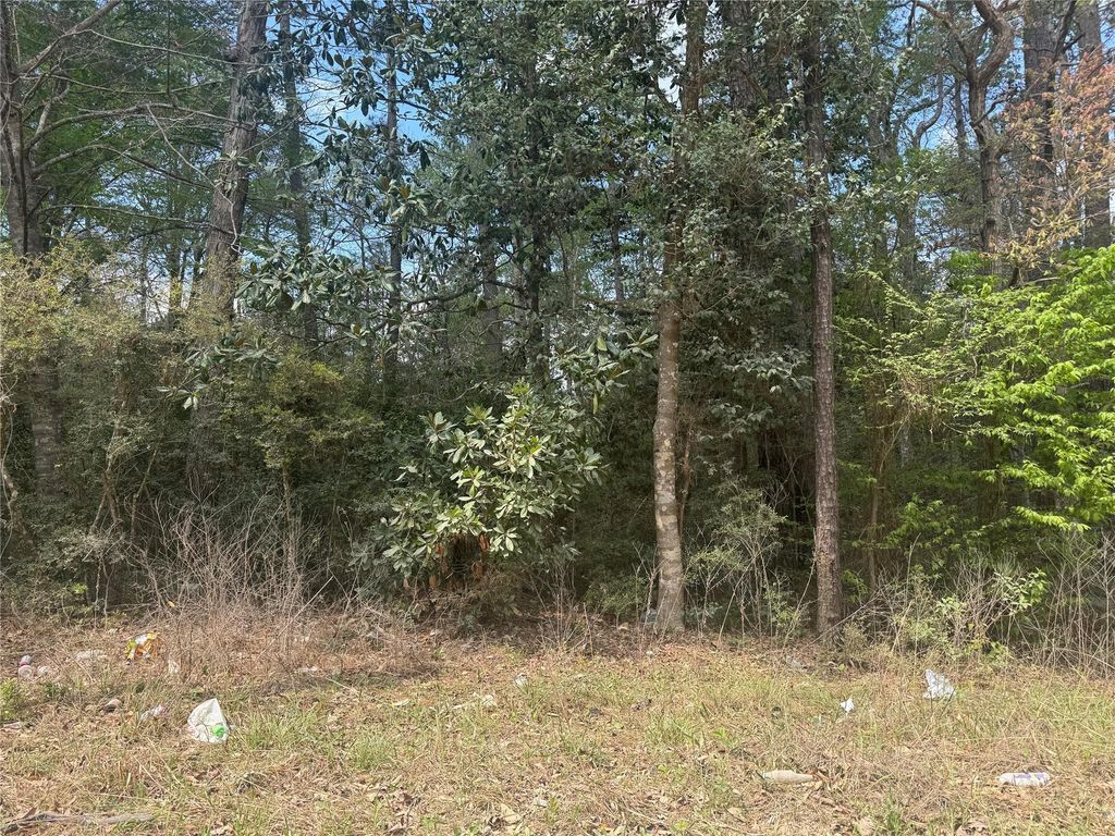 TBD Big Foot Wallace Trail, Livingston, TX 77351