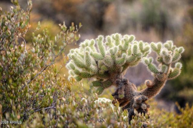 42242 N CHARBRAY Drive 25, Scottsdale, AZ 85262