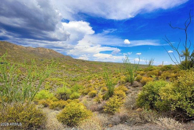 42242 N CHARBRAY Drive 25, Scottsdale, AZ 85262