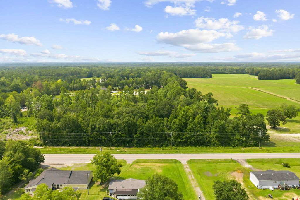 TBD Highway 905, Conway, SC 29526 — photo 3