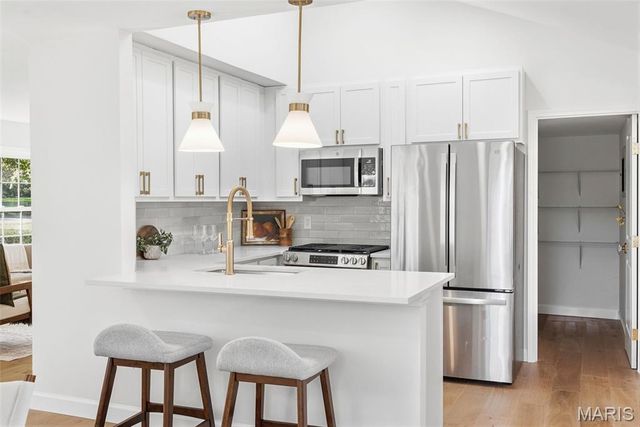928 S Gore Avenue, Webster Groves, MO 63119