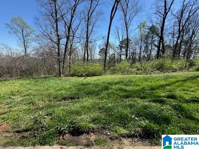 5009 ALTAMONT ROAD, Birmingham, AL 35222