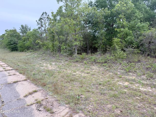 XXX Sumatra Drive, Chipley, FL 32428