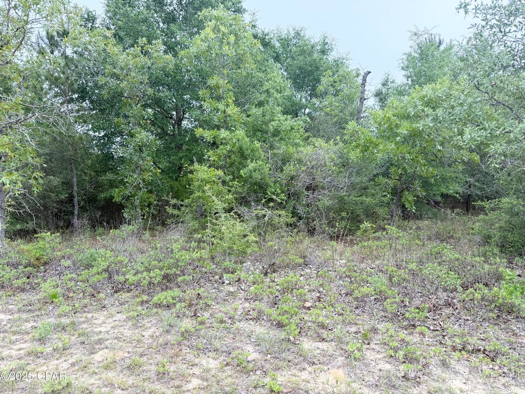 XXX Sumatra Drive, Chipley, FL 32428