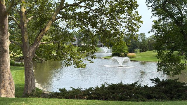1262 N Wellington Court, Buffalo Grove, IL 60089