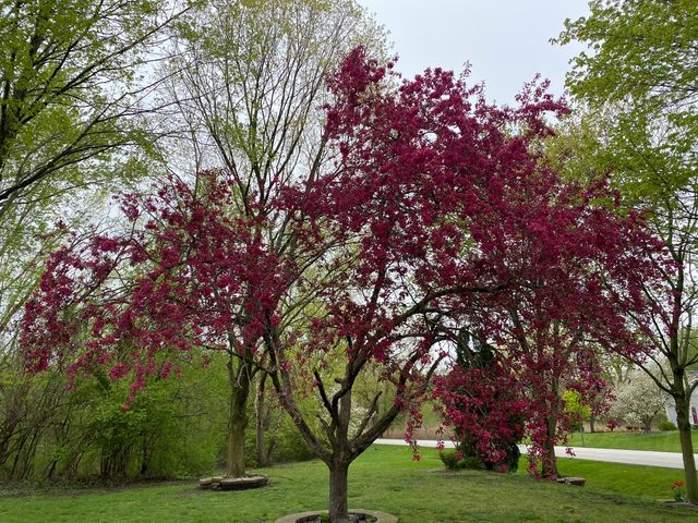 5544 Oak Grove Drive, Long Grove, IL 60047