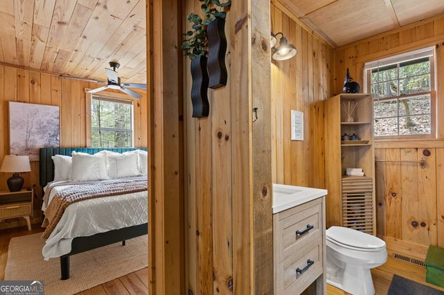 222 Icy Lane, Blue Ridge, GA 30513