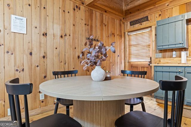 222 Icy Lane, Blue Ridge, GA 30513