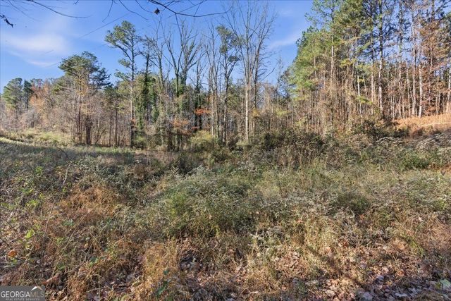 1122 Whispering Hills Drive, Bremen, GA 30110