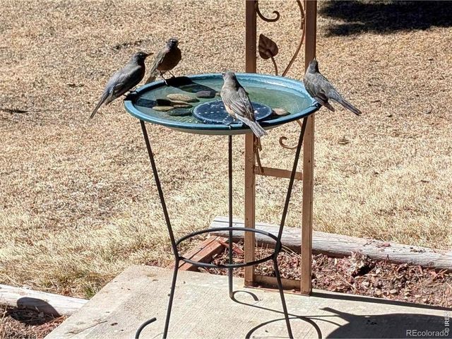 11575 Ingalls Street, Westminster, CO 80020