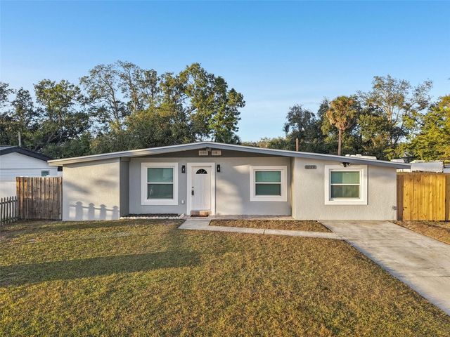 10120 ALAMBRA AVENUE, Tampa, FL 33619