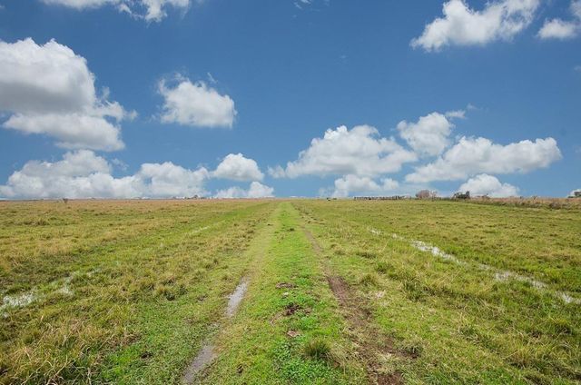 1 Brumbelow Road, Needville, TX 77461