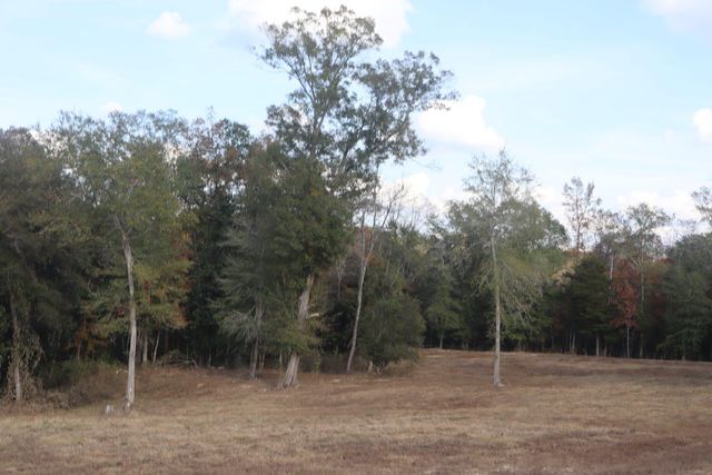 28 Acie Ln., Sumrall, MS 39482